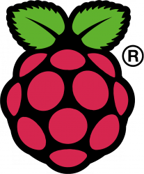 Raspberry Pi logo